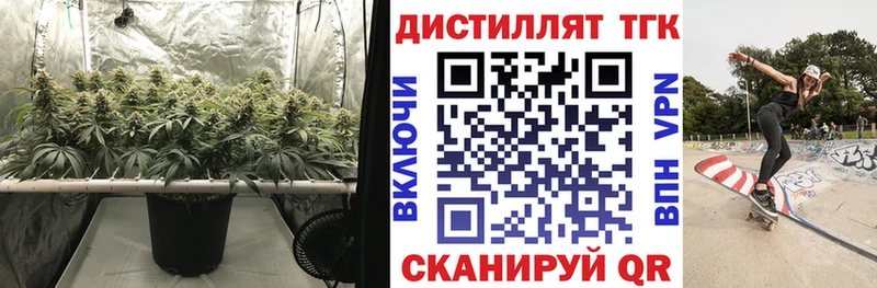 Дистиллят ТГК Wax  Амурск 