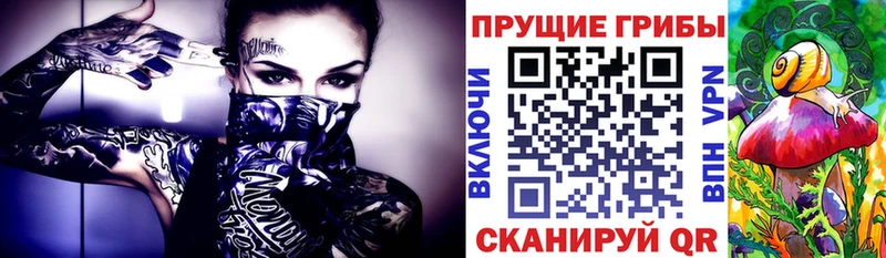 как найти   Амурск  OMG как войти  Галлюциногенные грибы MAGIC MUSHROOMS 
